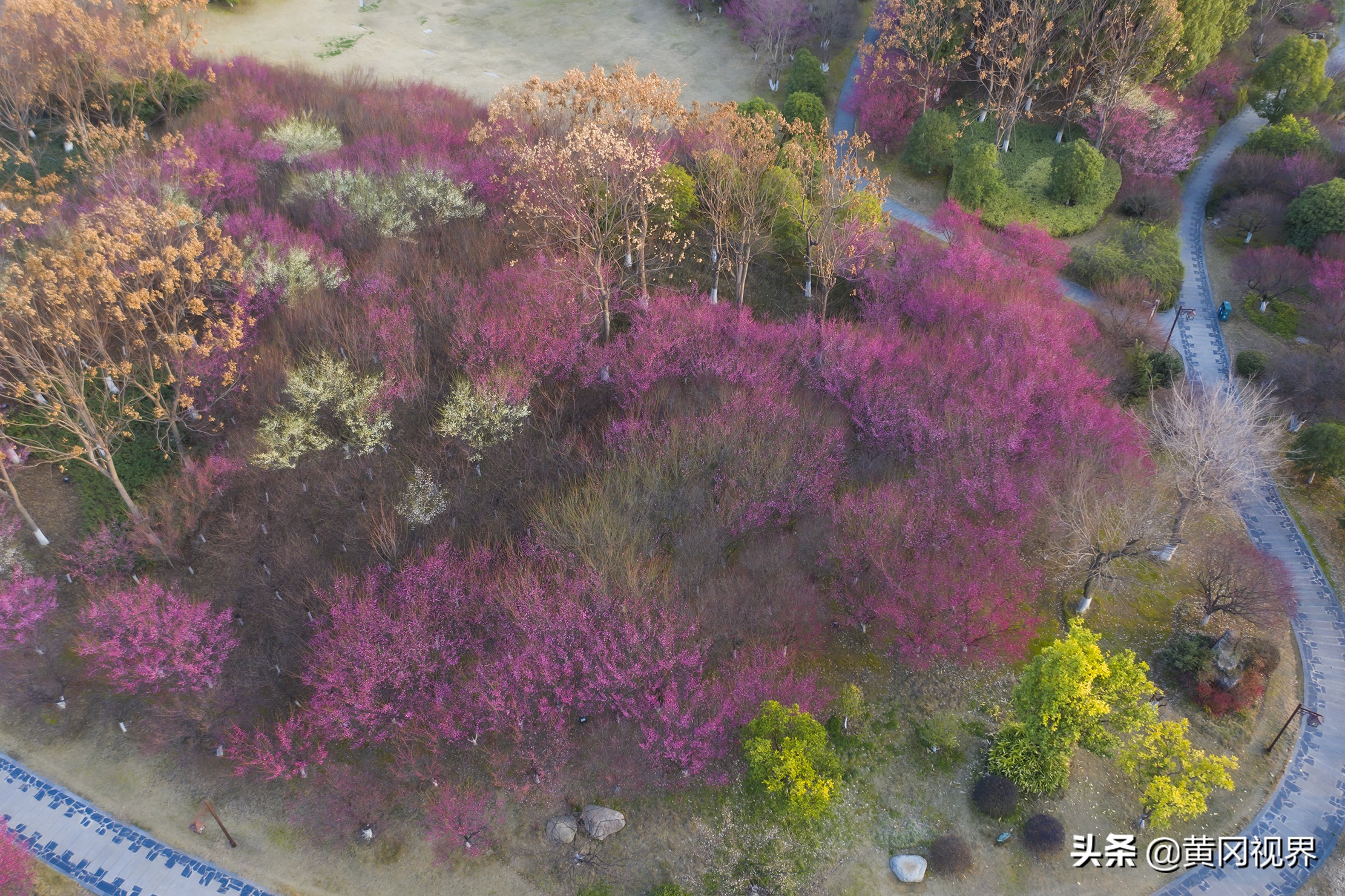 疫战日常,疫期日常