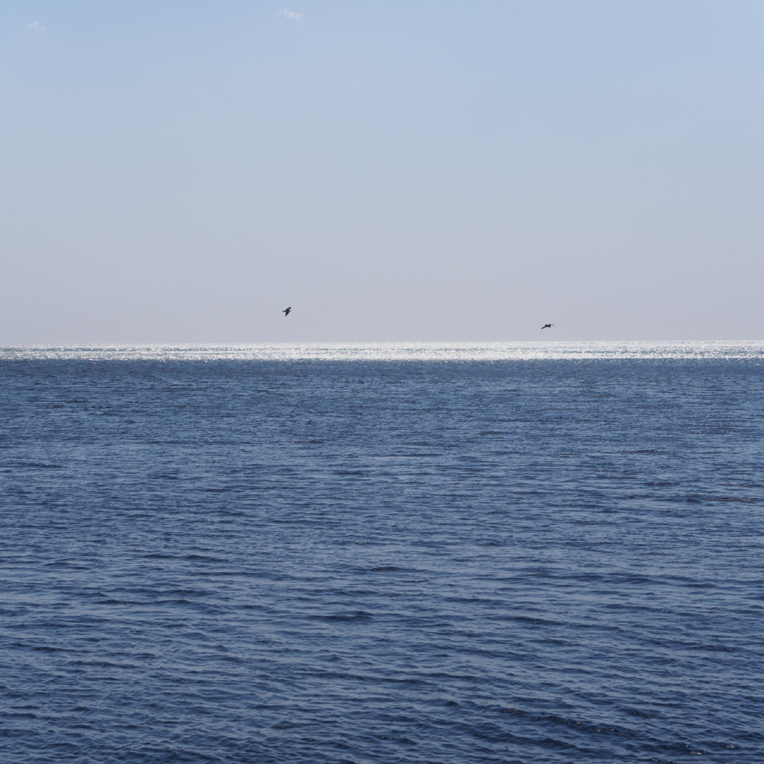 行摄大连丨渔人码头之“海的变奏曲”