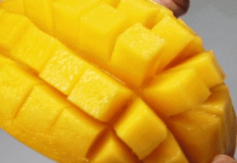 快收藏！海南水果图鉴～认准了，吃它