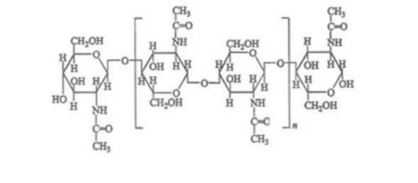 苍蝇什么时候才能被彻底的灭绝,苍蝇消失了对地球有什么影响