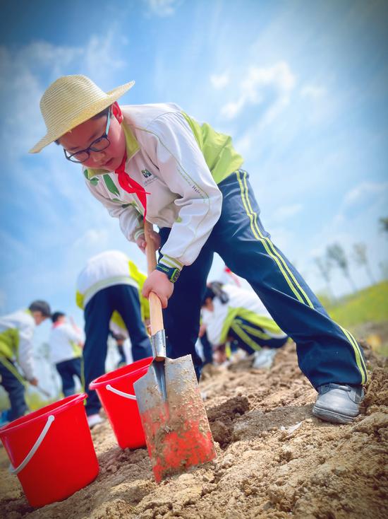 小学劳动实践研学活动总结,小学开展劳动教育研学实践活动
