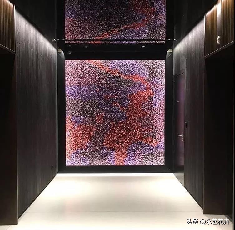 永生花苔藓植物墙,永生苔藓的价格