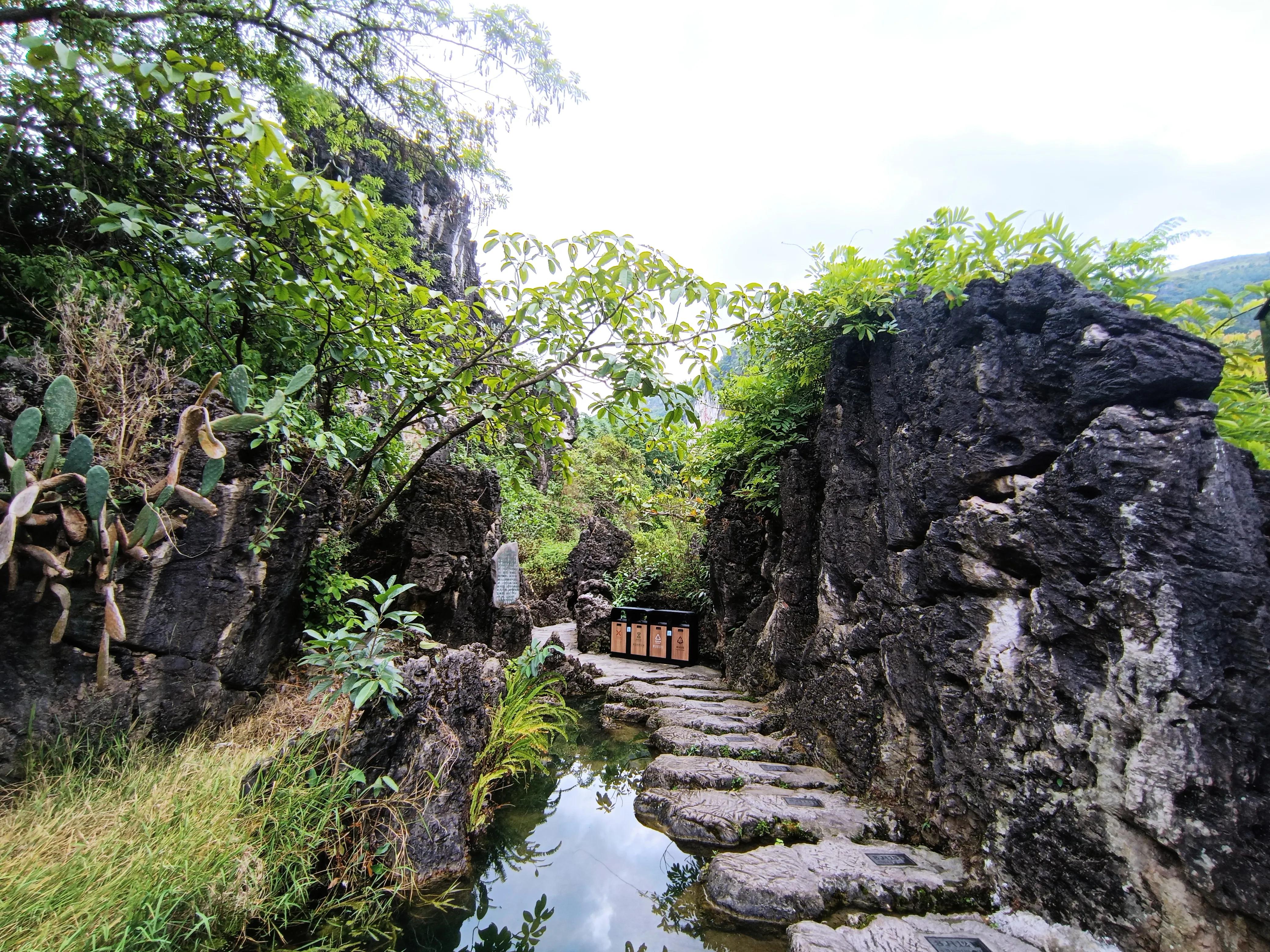 黄果树最佳旅游时间,黄果树旅游真实感受