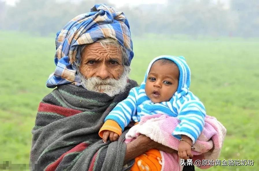 联合国推广骆驼奶,联合国推荐骆驼奶是否真实