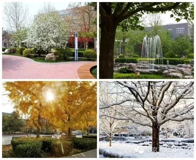 二中北京校友,北京二中校友