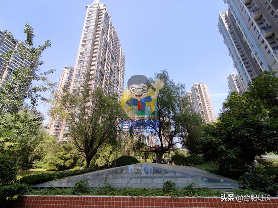 滨湖世纪城徽杰苑便宜,滨湖二手房急售哪家靠谱