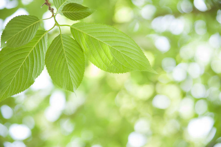 如何正确三招选定香薰，让家怡心怡情更添精致