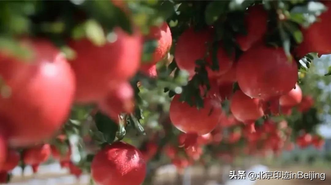 鐗涜鑳″悓鑿滄槸娓呯湡鐨勫悧,鍖椾含鐗涜闄勮繎鑳″悓閲岀殑娓呯湡椁愰