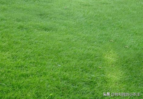 过敏反应判断标准及处理措施,鹅过敏怎么治疗最好