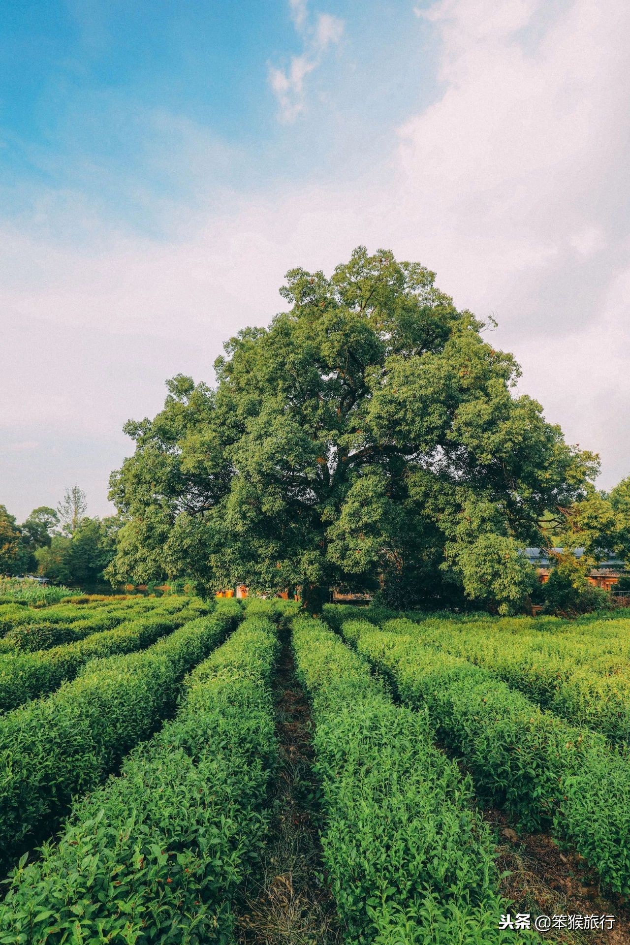 中国即将开通的超级高铁,中国最美高铁旅游线路排名