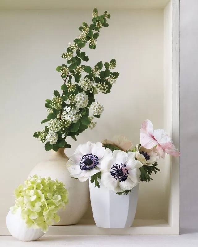 植库‖浪漫清新的小手球，为你带来氧气小森林