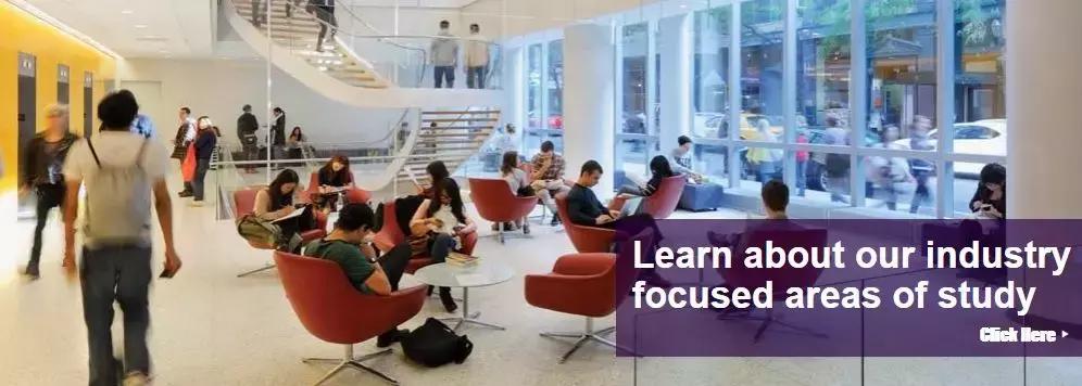 努力考进了纽约大学,我却输在了美国大学“起跑线”上