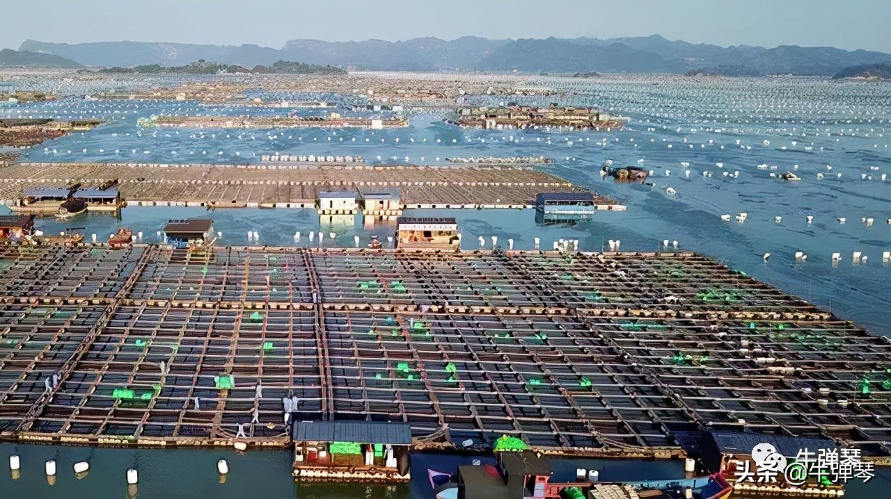 为什么日本的西瓜200元一个,日本西瓜真的算贵吗