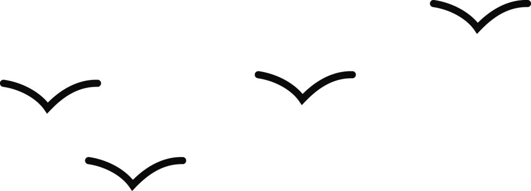 软件开发师的学习经历和收获,软件开发工程师都做什么