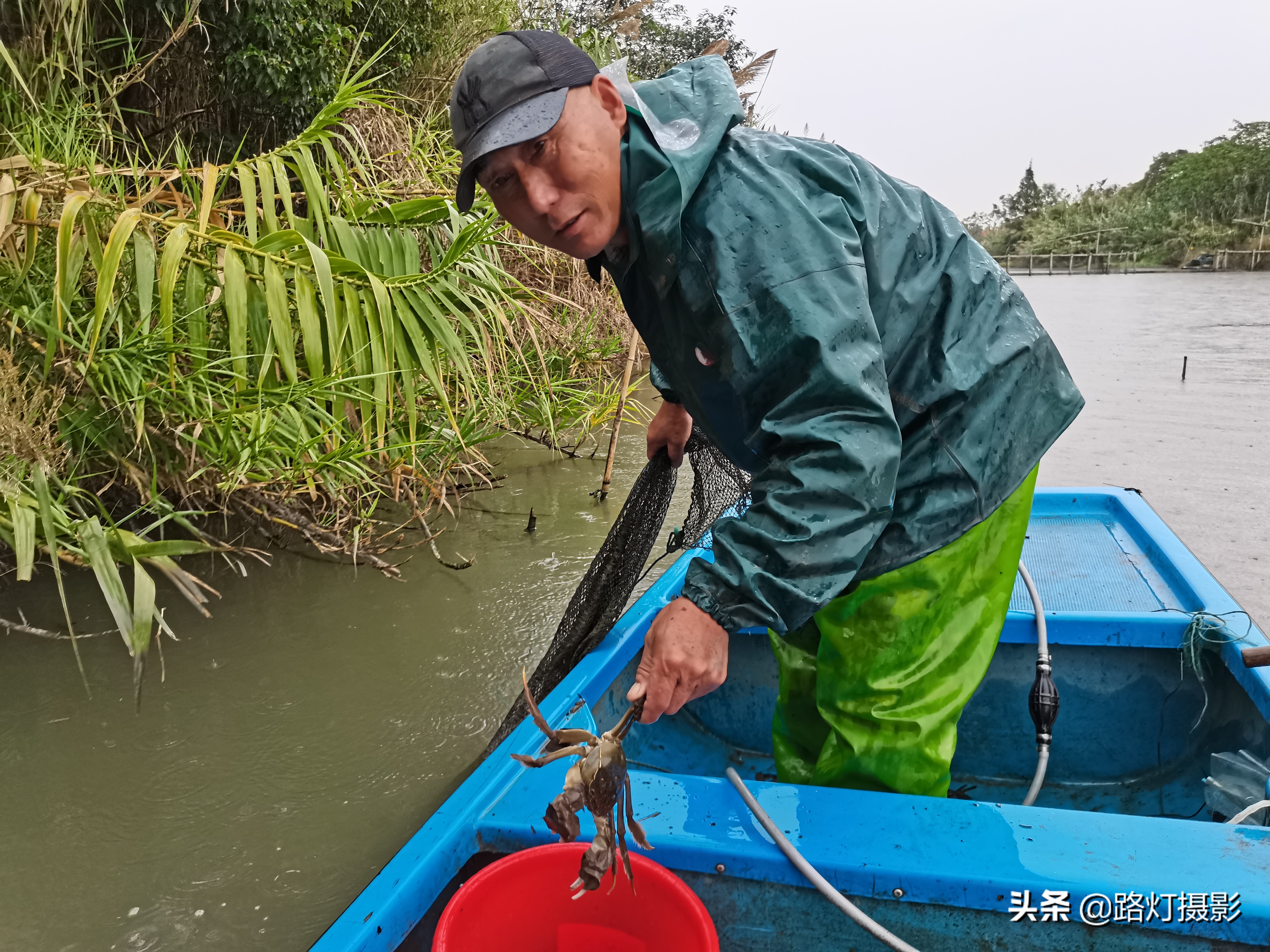 沙家浜江南美景,常熟芦苇荡螃蟹