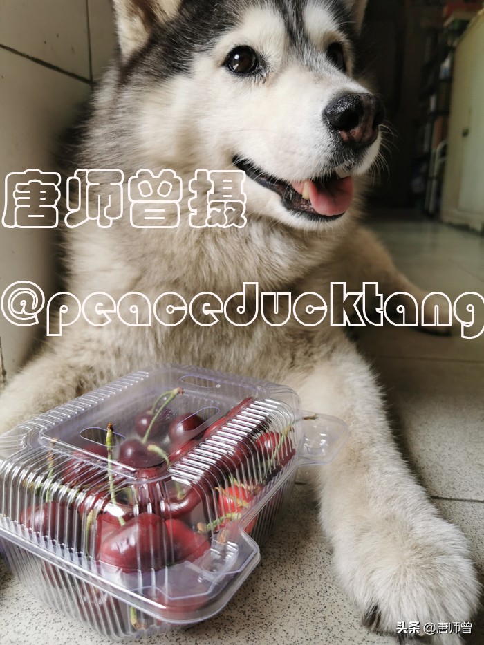 20210604唐师曾:红了樱桃