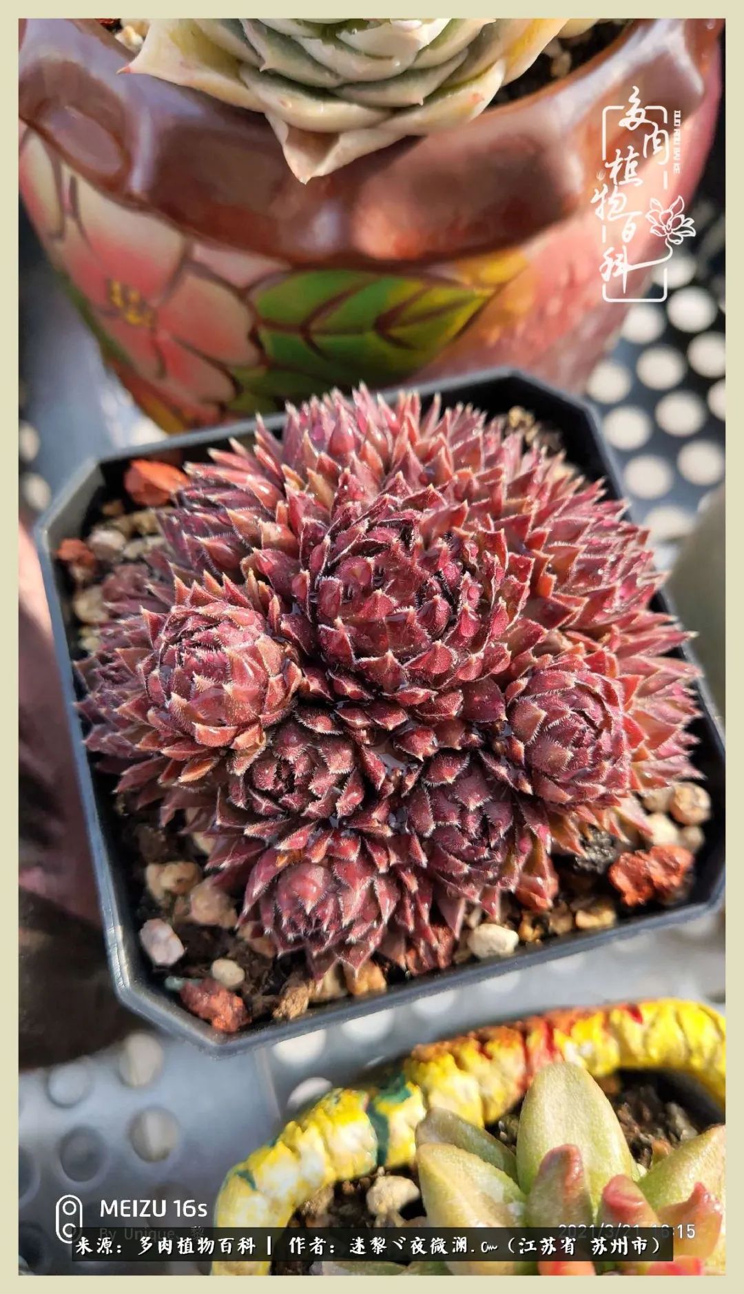 秋尽冬来岁月不居时节如流,岁月不居时节如流水