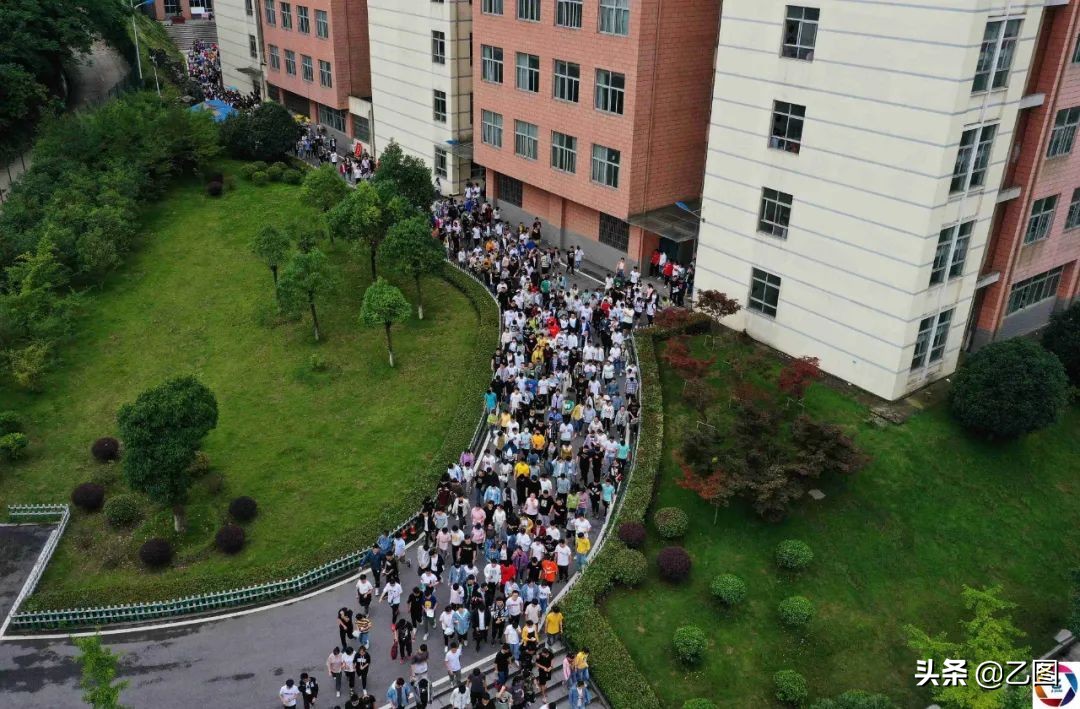 摄影师盘点2020年照片,摄影师们珍藏了50年的图