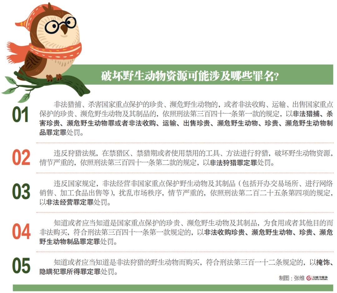 每年因捕捉野生动物而被起诉的人不在少数，主要狩猎对象竟然是青蛙、麻雀、黑水鸡、斑鸠等