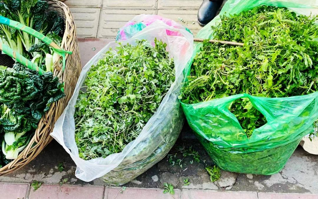 菜市小趣（社会扫描）