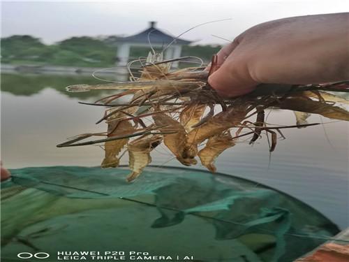 多肉哥农庄日记第21篇：培训结束，收获满满。