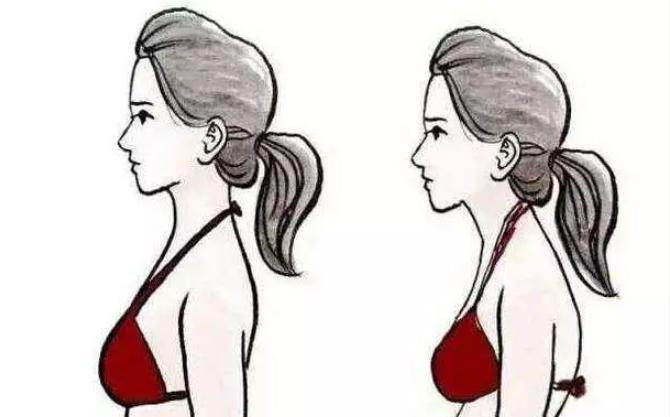 小学生护脊书包品牌十大排名,儿童护脊书包怎么选