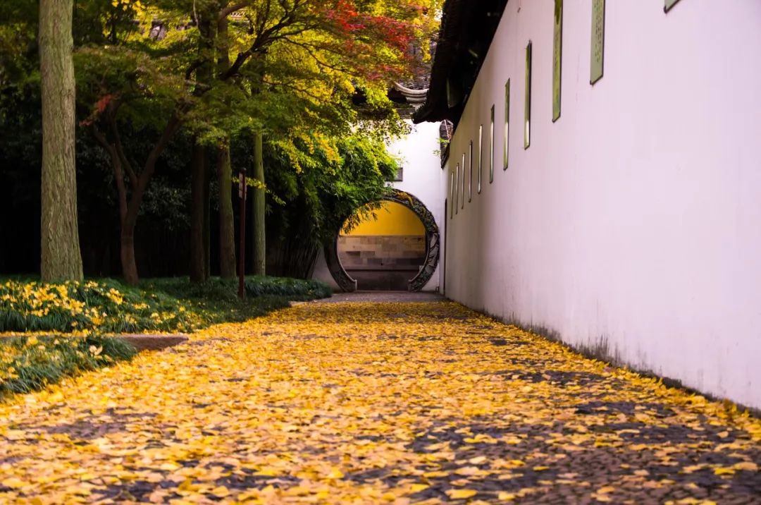 一入秋苏州成姑苏,秋色一入秋苏州就成了姑苏