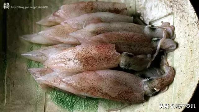 硬核科普全部,硬核科普大全视频