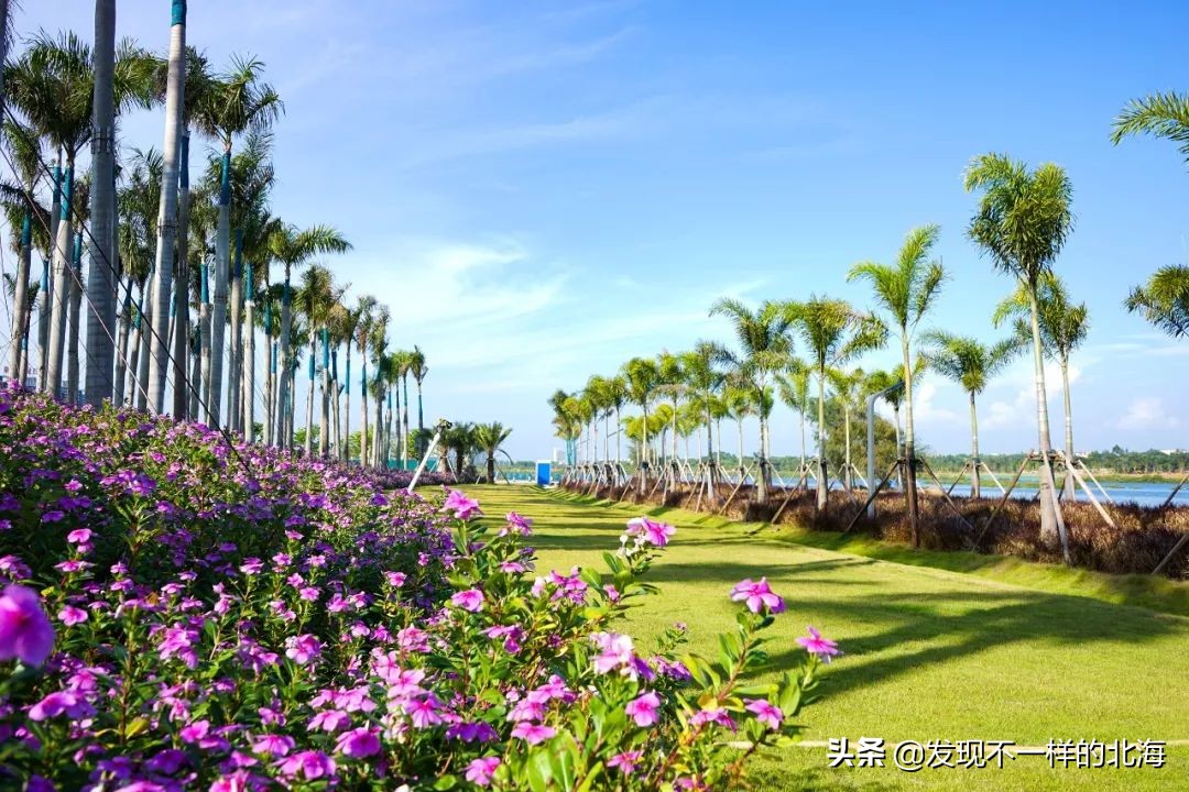 两广场五公园，北海城南片区的人住的就是这么爽