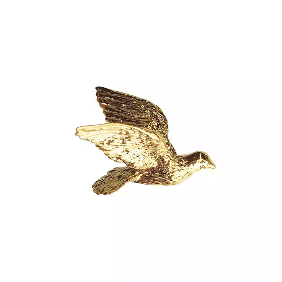 在大自然中观察的现象,在大自然中可以观察到什么