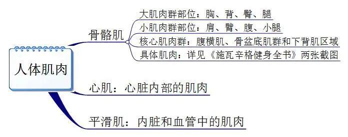 健身十年问啥都懂,健身你懂啥
