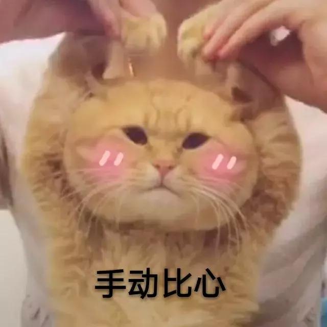 word怎么添加裁剪线和剪刀,word中的裁剪线怎么弄