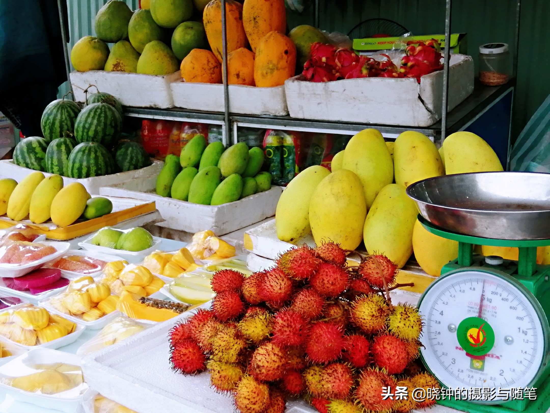 越南有啥水果品种好,越南有什么水果比较出名