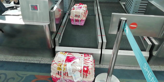 哪家航空公司可以托运宠物猫,哪个航空公司托运猫便宜
