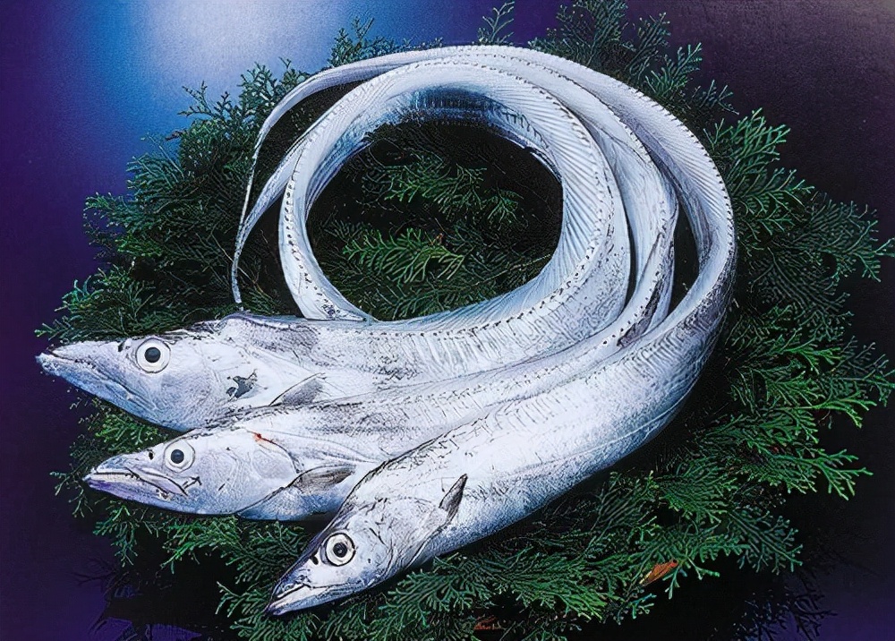 不吃高嘌呤食物为什么尿酸600,哪些食物嘌呤低适合高尿酸人吃