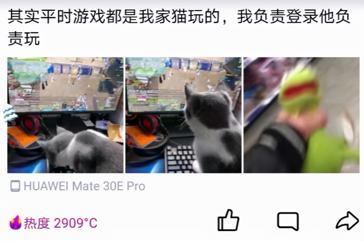 剑网3技巧老师,从0开始玩剑网3