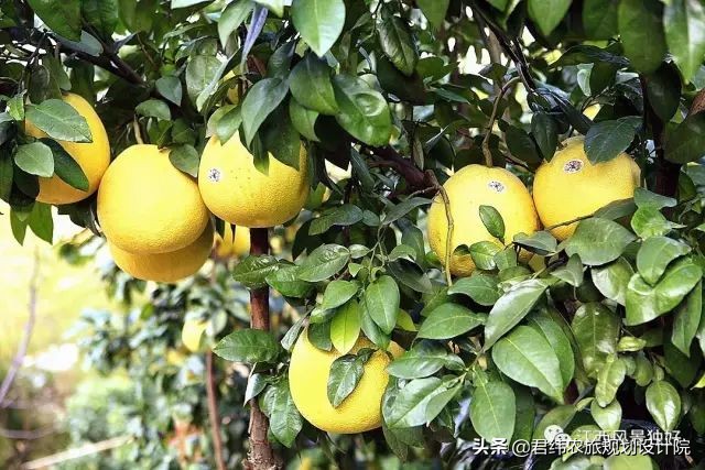 走遍江西100个县抚州,走遍江西100县铅山