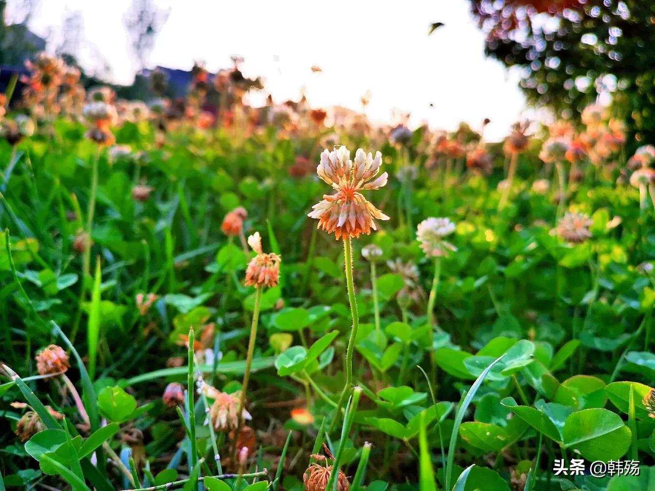 出游不必远行,出游不再烦恼