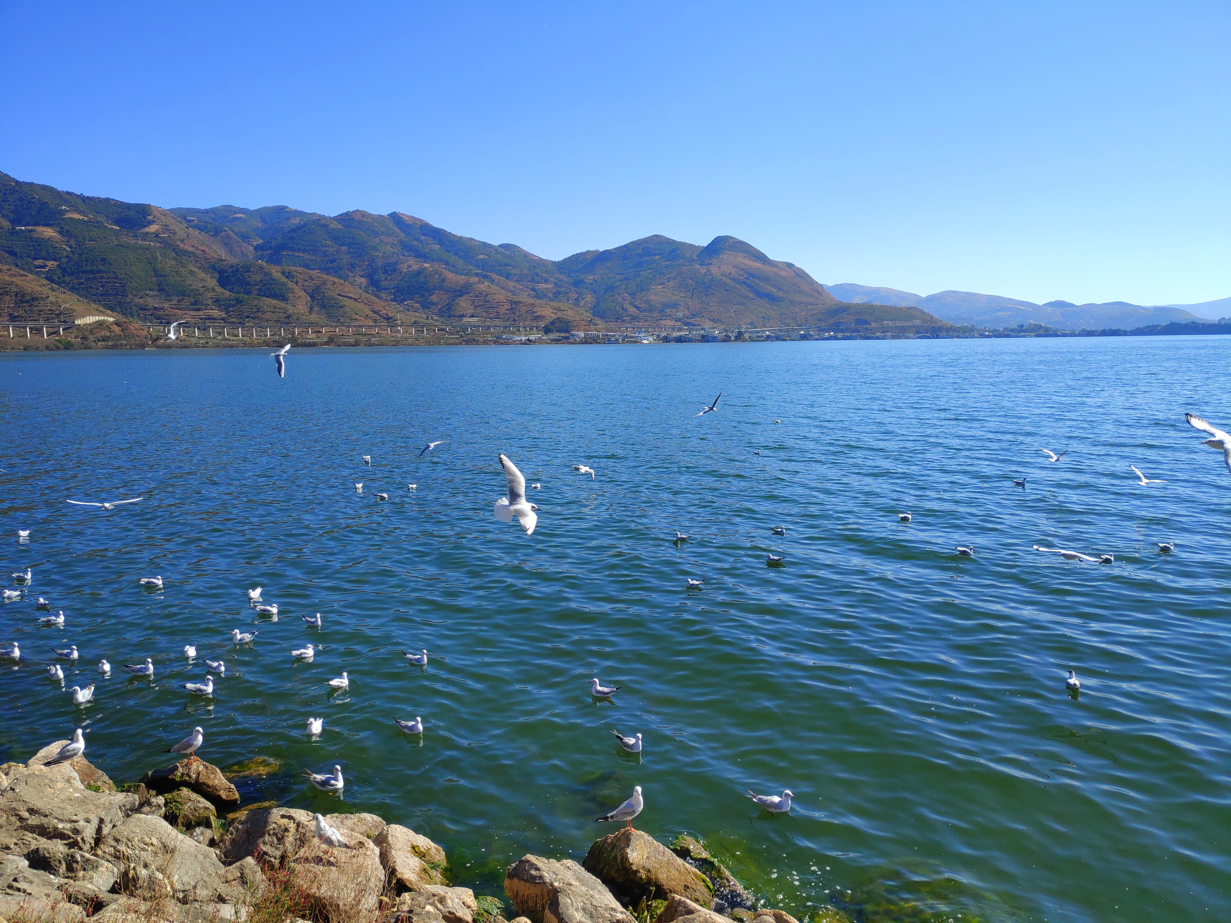 大理洱海最新旅游攻略,大理洱海咋玩