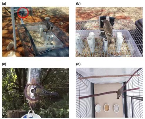 改善人类大脑记忆的药物,脑科学日报完整版
