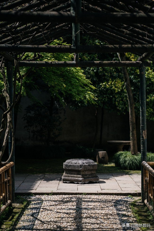 拙政园最让人欣赏的地方,拙政园十大特色