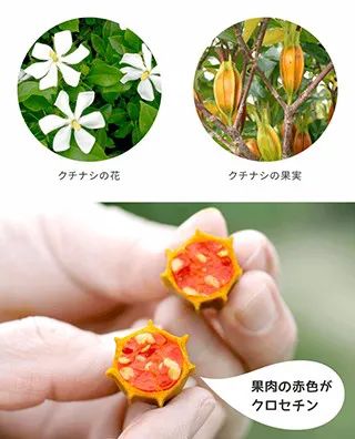 助眠神器30秒入睡推荐,睡前必备助眠神器