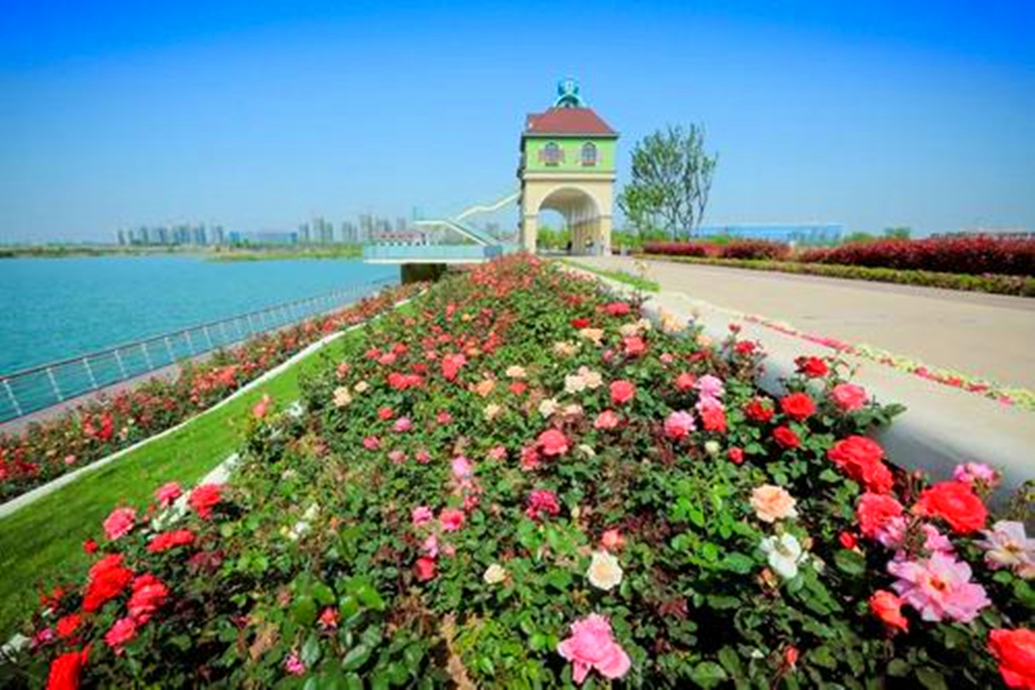 合肥春游必去十大景点,合肥适合春游玩的地方推荐