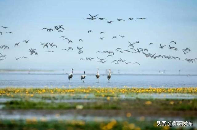 遇见美丽水乡,鄱阳鄱阳湖