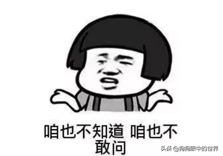 狗狗感冒好了没几天又感冒了,狗狗感冒好了之后还是没精神