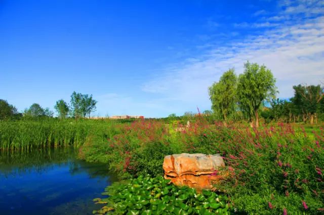 北京房山团建踏青地点推荐,北京房山春季旅游最佳去处