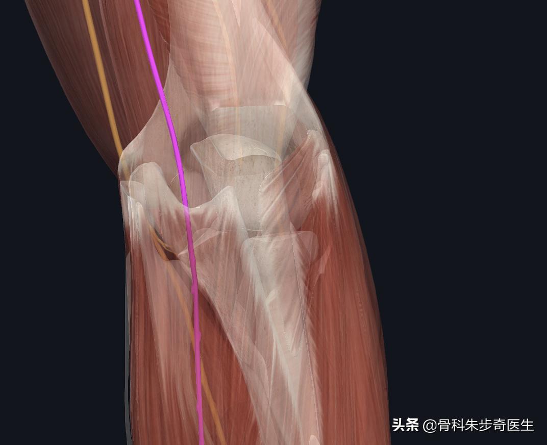 为什么胳膊有一阵一阵的痛,胳膊痛得最好最快的解决办法