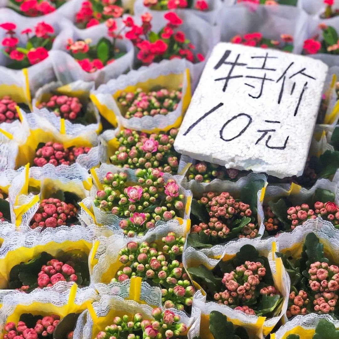 北京崇文区西花市大街,北京通州花市在哪里