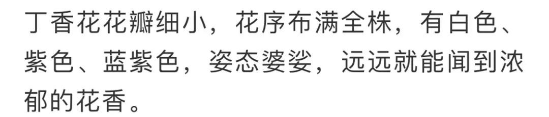 看到花的时候,不知是什么花?那就收下这份百花图谱