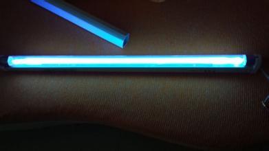 家里养猫床上和沙发喷什么消毒,去养猫的人家里做客要怎么消毒